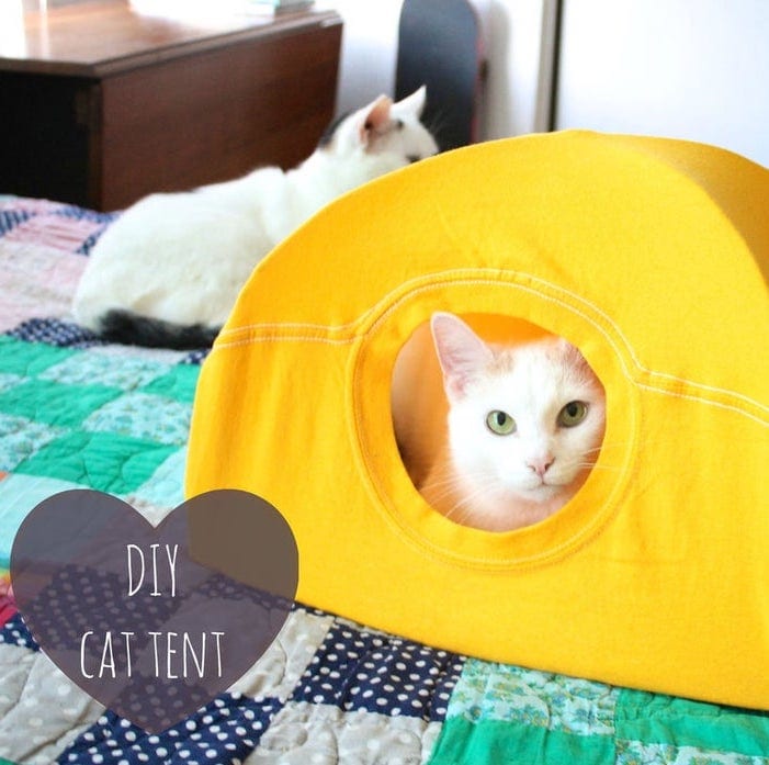 cat tent 